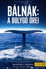 Bálnák: A bolygó őrei filminvazio.hu